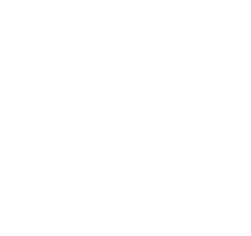 North Georgia Brick