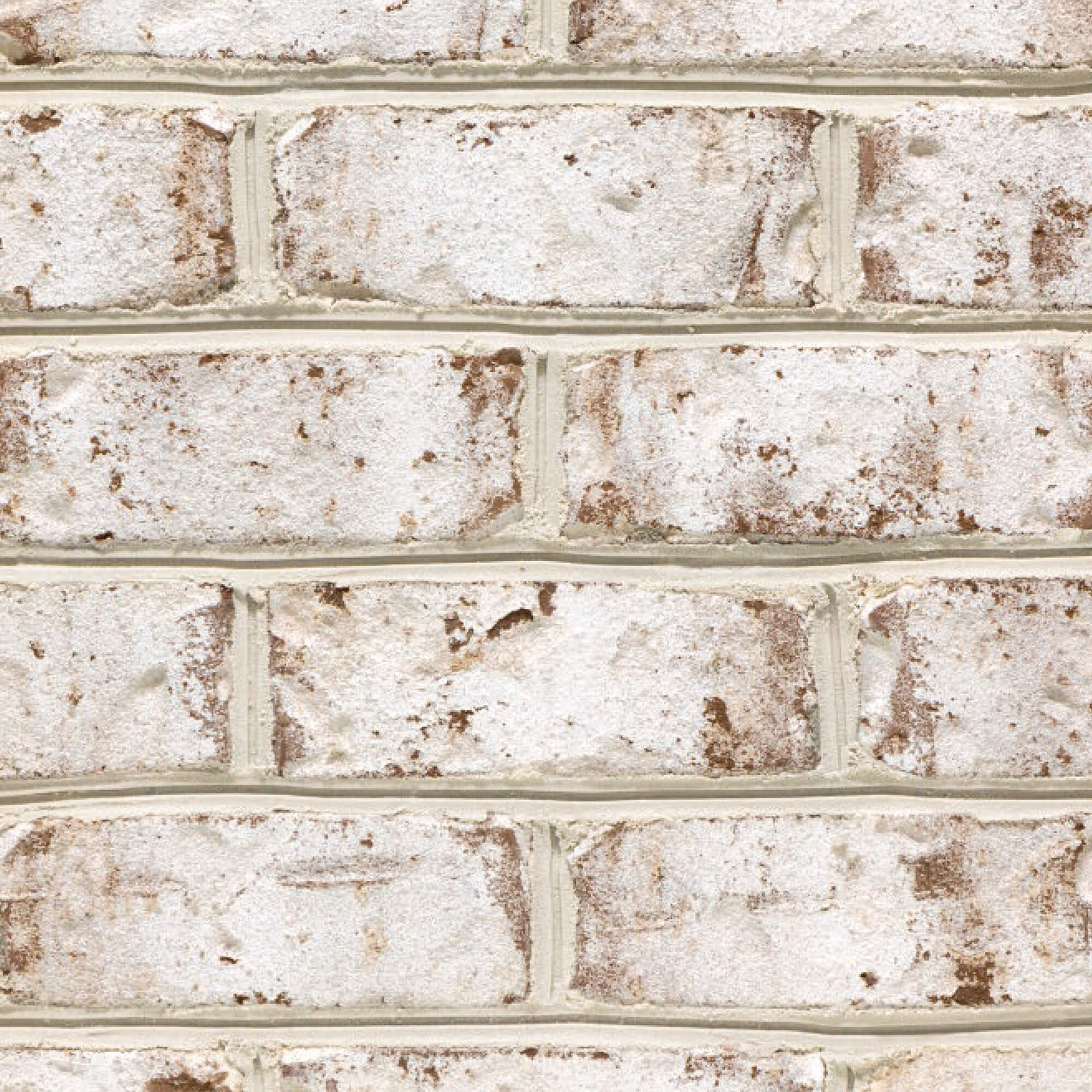 swatch-pastel-bradfordhalltudor