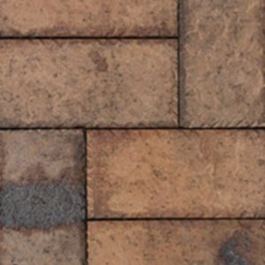 Old Mocha Pavers