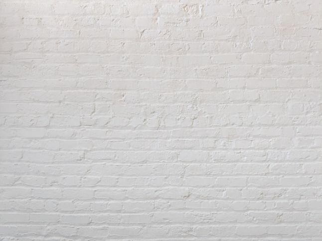 A white brick wall
Description automatically generated with medium confidence