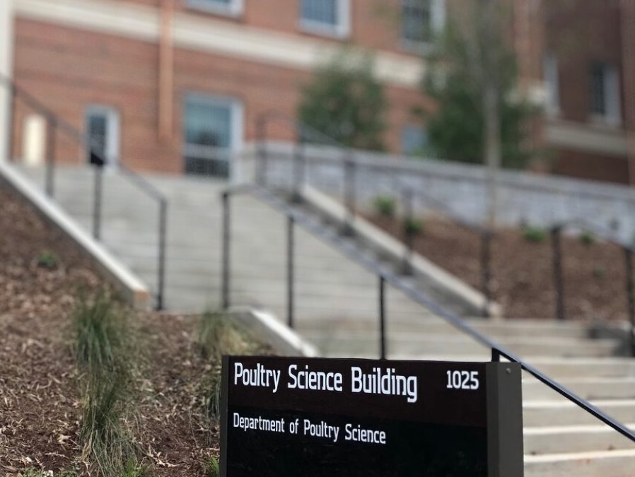 Commercial Project Spotlight: UGA Poultry Science Building